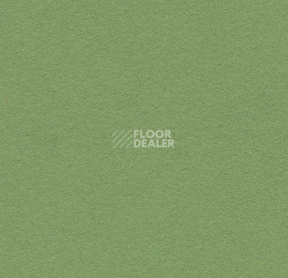 Линолеум Forbo Marmoleum Bulletin Board 2213 baby lettuce фото 1 | FLOORDEALER